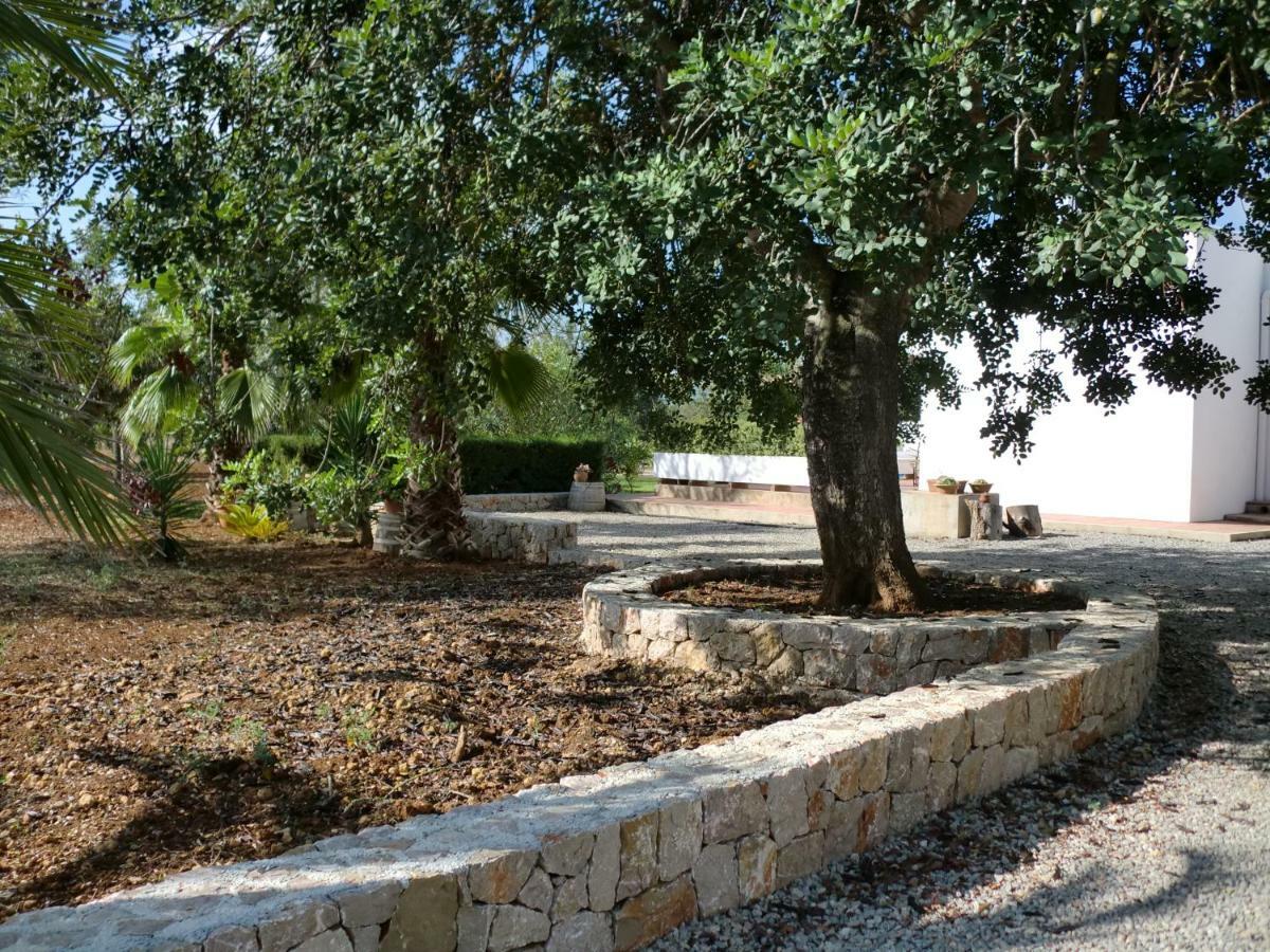 Villa Sa Vinyeta Sant Llorenc de Balafia Εξωτερικό φωτογραφία